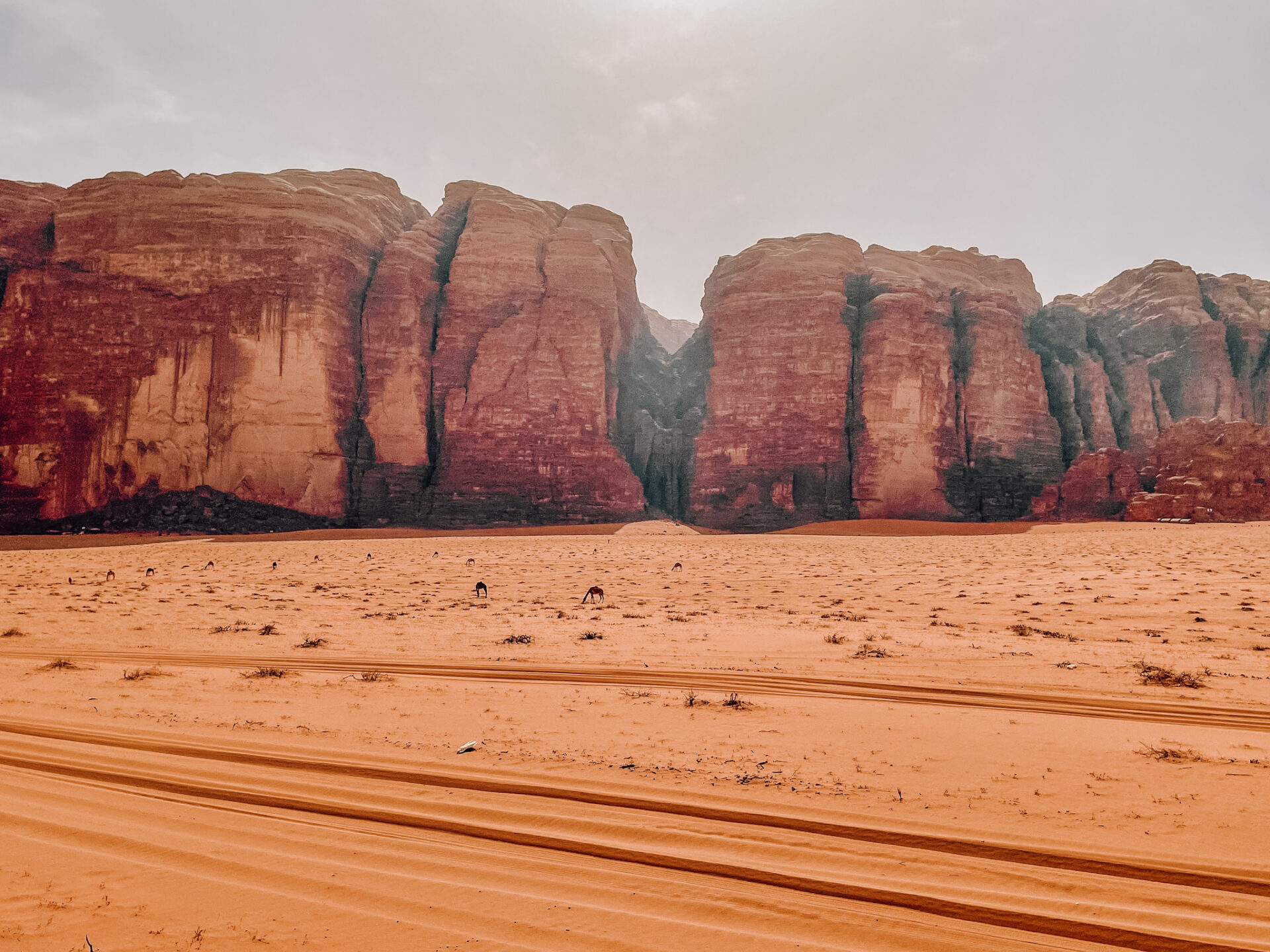 jordanie woestijn
