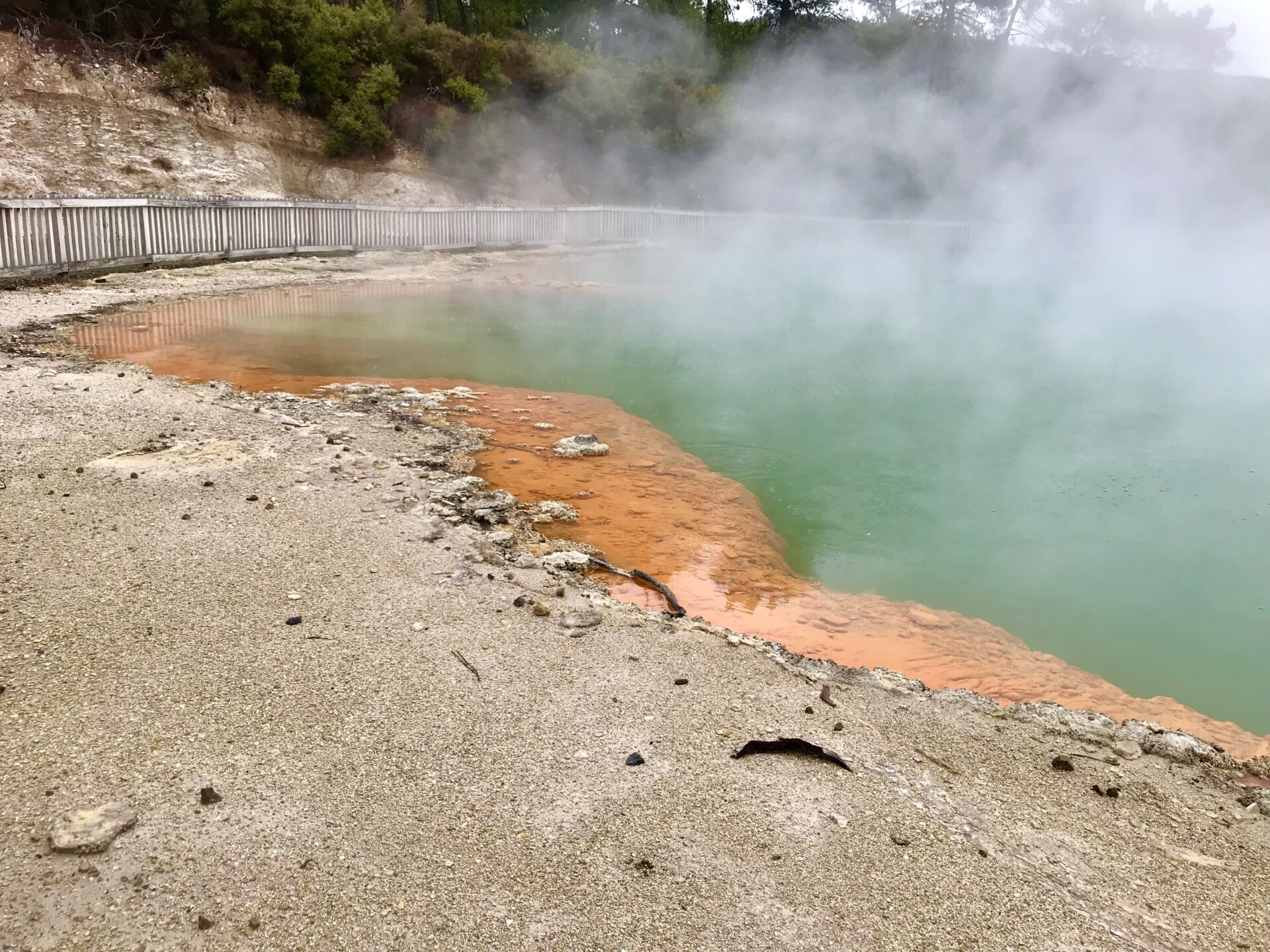 Rotorua thermal wonderland