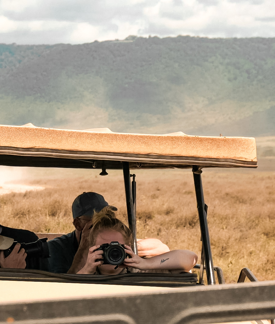 Safari Ngorongoro